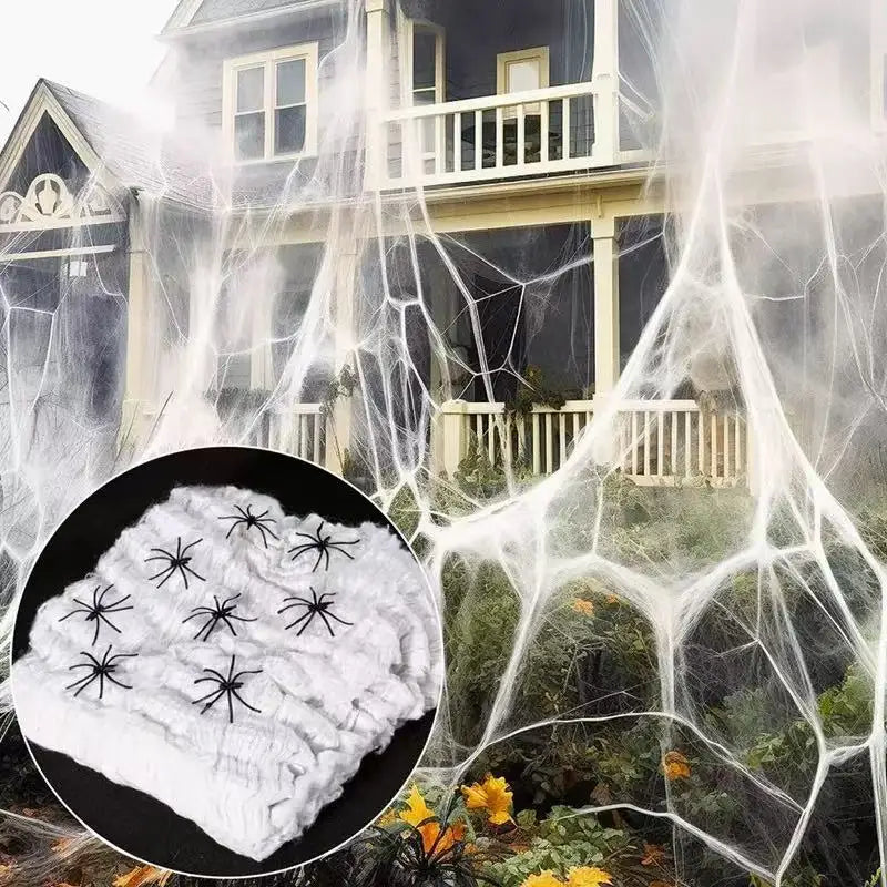 Toile d'Araignée Décorative