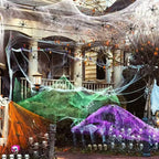 Toile d'Araignée Décorative