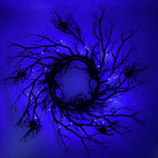 Spider Light Branch