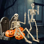 Halloween Skeleton 36-Inch Skeleton Poseable Skeleton Halloween Decorations - White - Size 2 Pcs-2