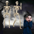 Halloween Skeleton 36-Inch Skeleton Poseable Skeleton Halloween Decorations - White - Size 2 Pcs-4