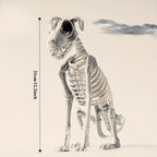 Halloween Dog Skeleton Decoration-1